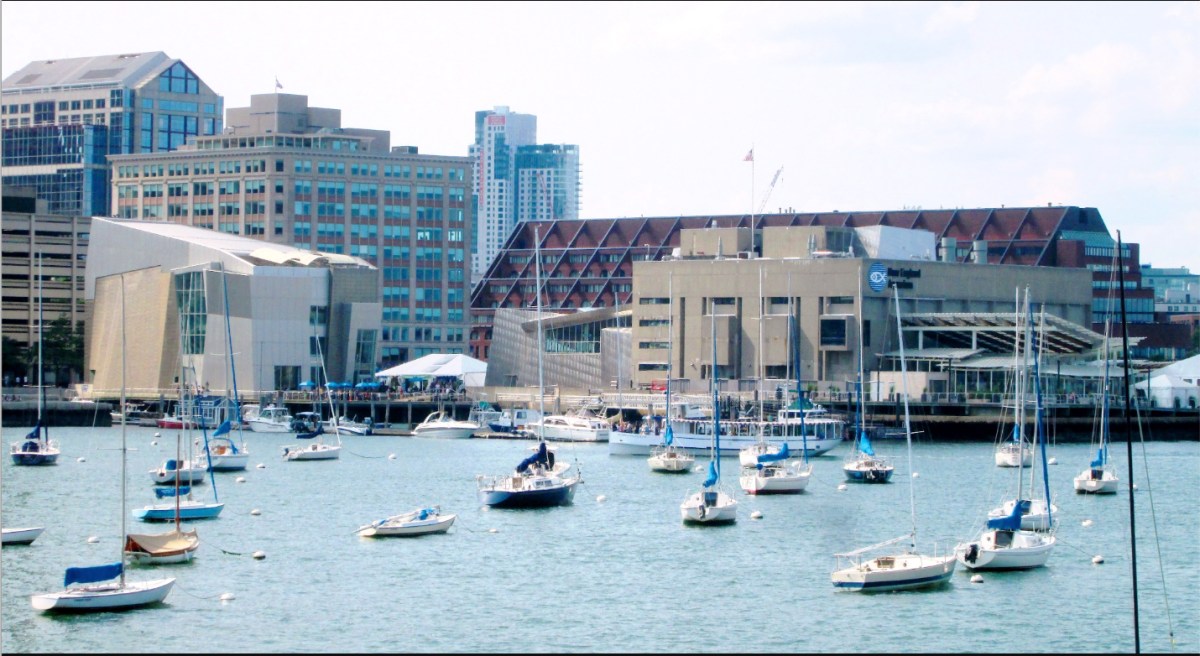 A marine Animal Crossing: Visitng the New England Aquarium